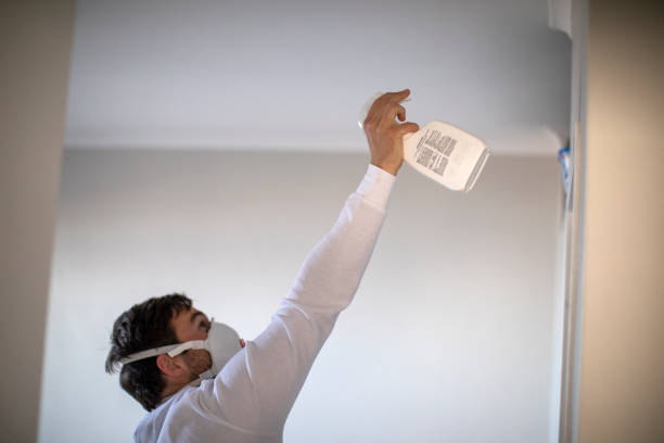  Edmonston, MD Mold Removal Pros