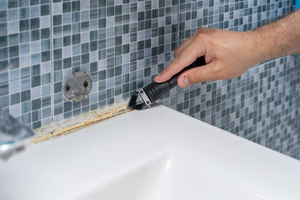 Professional Mold Remediation in Edmonston, MD