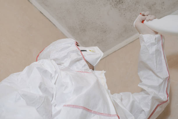 Best Residential Mold Remediation in Edmonston, MD