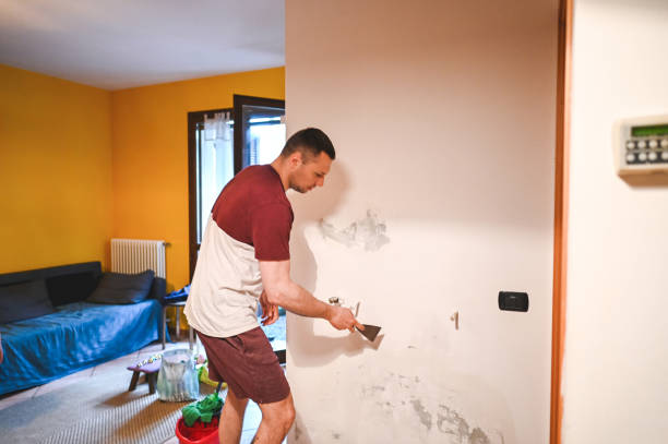Best Industrial Mold Remediation in Edmonston, MD